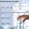 Post-filtro mineralizzante BWT PD2010BWT per sistemi ad osmosi inversa standard