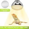160W UVA UVB Vapor Reptile Heat Lamp, High Intensity Self-Ballasted