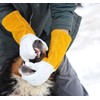 Suse's Kinder Animal Handling Gloves Leather Padding Dog,Cat Scratch,Bird Falcon