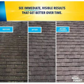 Spray & Forget 1-Quart Hose End Concentrated Roof Cleaner 32 Fl Oz (Pack of 1)