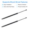 zayody Rear Hatch Tailgate Liftgate Lift Supports Shock Struts SG229033