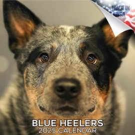 2024 2025 Blue Heeler Dog Calendar - Dog Breed Monthly Wall Calendar - 12 x 24 Open - Thick No-Bleed Paper - Giftable - Academic Teacher's Planner Calendar Organizing & Planning - Made in USA