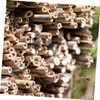 CIYODO 50pcs Bee Tubes for Beekeepers Natural Phragmite Habitat Easy