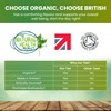 The Natural Health Market, Organic Ginger Tea Bags - 100