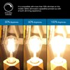 New Lights Vintage LED Edison Bulb, ST19 6W Dimmable LED