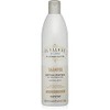 ALFAPARF Shampoos 500 ml