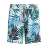 Kanu Surf Women's Marina Solid Stretch Boardshort, Bali Green, 12