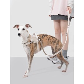 HiDREAM Valleyシリーズ犬用スピード着用引っ張り防止ハーネス ミルクブラウン S