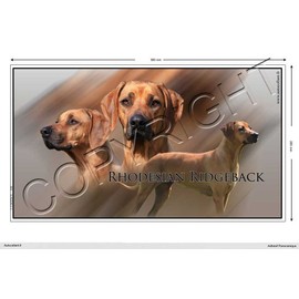Pets-easy Rectangular Sticker Dog 36 cm Rhodesian Ridgeback