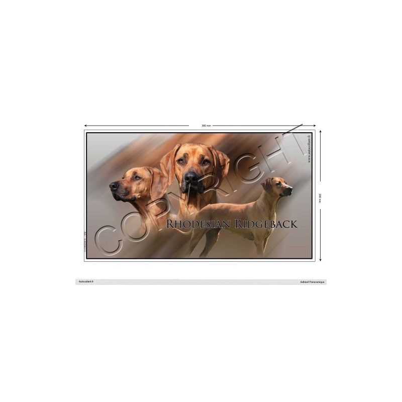 Pets-easy Rectangular Sticker Dog 36 cm Rhodesian Ridgeback