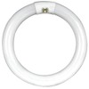 Feit Electric Fc16t10/Cw 40w 16 in. Circline, Cool White