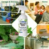 8oz Insect and Pest Control Peppermint Oil - Natural Spray