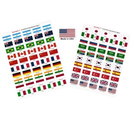 Made in USA! 100 Stickers Representing Group of 20 (G-20) Countries; 1.5" x 1" Self Adhesive World Flag Stickers, Two Sheets of 50 Showcasing 5 Stickers for Each G-20 Country