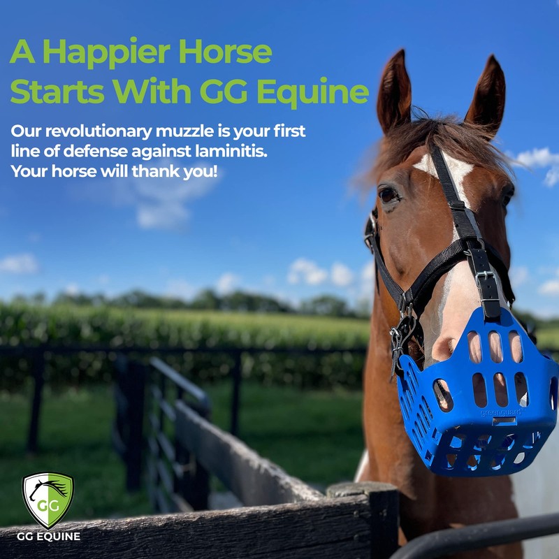 GG Equine GreenGuard Grazing Muzzle for Horse - Lighter, Durable
