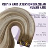 fshine Clip in Hair Extensions Human Hair 16 Inch 120g