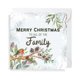 Second Ave All the Family Christmas Robin Square Xmas Holiday Festive Greetings Card