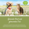 Sanct Bernhard Vitamin-B-Komplex-Hunde-120 Kapseln, 1er Pack (1 x 48 g)
