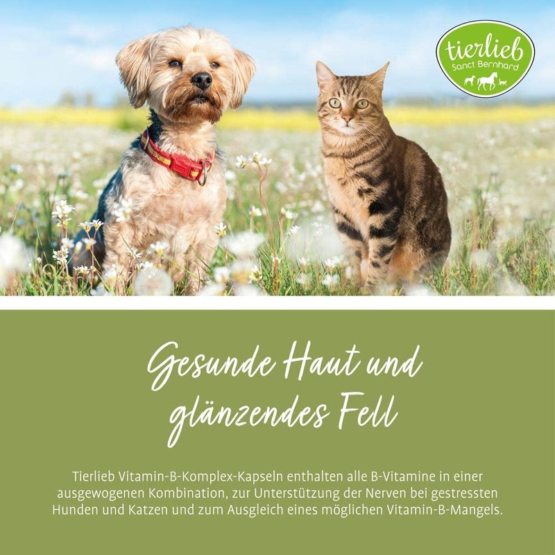 Sanct Bernhard Vitamin-B-Komplex-Hunde-120 Kapseln, 1er Pack (1 x 48 g)