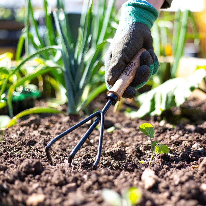 Hand 3 Prong Cultivator - Carbon Steel