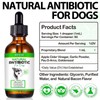 Oimmal Natural Antibiotic for Dogs Allergy Relief Apple Dog Itch