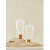 HOMOSUM E26 Frosted LED Edison Bulbs, 4W, Equivalent 40W, Soft