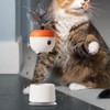 Cat Treat Dispenser Toy,Safe Spring-Loaded Cat Treat Feeder Feather Toy