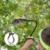 Bearded Dragon Harness and Leash Set, 3-Size Adjustable Soft Leather