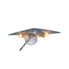 Kurt S. Adler Kurt Adler 10-Light 7-Point Capiz Star Treetop,