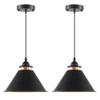 OFPSABAL Black Pendant Lights Kitchen Island 2 Pack, Dome Pendant