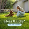 PetArmor Plus Flea and Tick Prevention for Dogs, Dog Flea