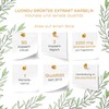 Luondu Green Tea Extract 90 Capsules High Dose - 2250mg