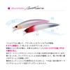DUO Beach Walker Axion Light 95S CPA0540 Flounder Gold PB