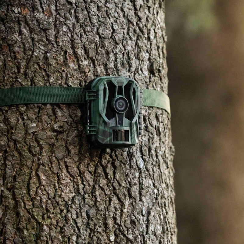 Midland Wild Guardian Fotofalle 20MP 1080P Jagdkamera mit Nachtsicht Tierkamera