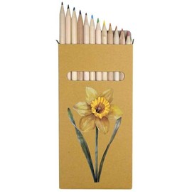Azeeda 12 x 'Welsh Daffodil' Long 178mm Coloured Pencils/Pencil Set (PE00067967)