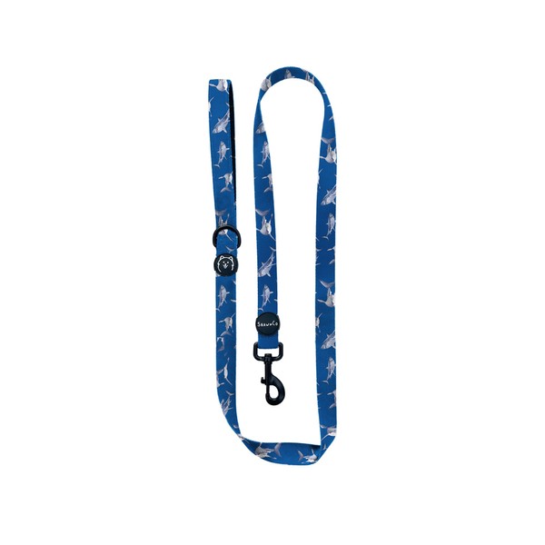 ShawnCo Dream Walk Dog Leash- Premium, Nylon Pet Leash with