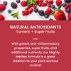 Fruniti Superfruit Medley Smoothie Mix - Antioxidant All-in-One Delicious -