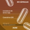 Arrozima Coenzima Q 10 Red Yeast Rice 60 Cáps Flow