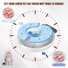 Bsemax 2 Pcs Replacement Ice Packs for Automatic Cat Feeder