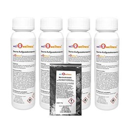 well2wellness® Sauna Infusion Set 4 x 125 ml 'Cool 2' with Ice Panase, Ice Cream Melon, Ice Ginger, Ice Kiwi + 10 g Menthol Crystals