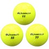 Casco Golf Balls DNA 2 Piece Ball Net Pack Yellow