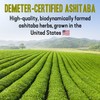 High‑Polyphenol Ashitaba Tea Blend – Demeter Certified Biodynamic U.S. Organic