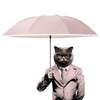 DAWNTREES Windproof Travel Umbrella,Automatic Opening And Closing,Compact, Sturdy, and Lightweight,Sun