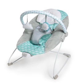 Ingenuity Ity Bouncity Bounce Vibrating Deluxe Baby Bouncer Seat, 0-6 Months Up to 20 lbs (Goji)