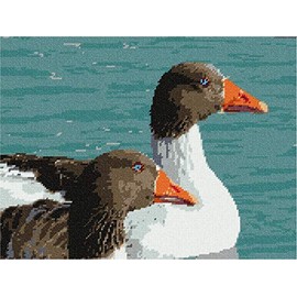 Pepita needlepoint canvas: Geese Up Close, 13" x 10"