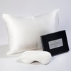 L' COZEE Downtown Company 100% Mulberry Silk Pillow Set for