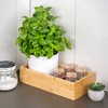 bremermann Bamboo Storage Box 30 x 7.5 x 15 cm