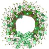Thick & Timer - St Patricks Day Decorations,18 Inch St