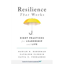 Resilience That Works: Eight Practices for Leadership and Life