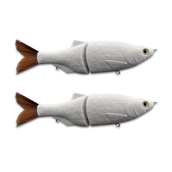 Pcmursal 2 Pack Glide Bait, Lure Blanks, Glide Baits for
