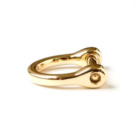 Jasmine M662-1 D-Ring 0.6 x 0.6 inch (15 x 16 mm), Diameter 0.2 inch (4 mm), Gold